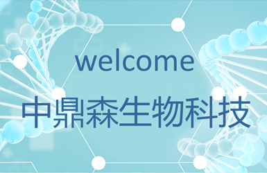 陕西中鼎森