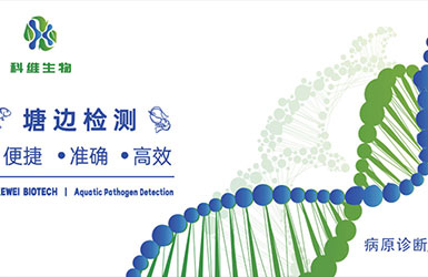 陕西科维奥创生物科技有限公司